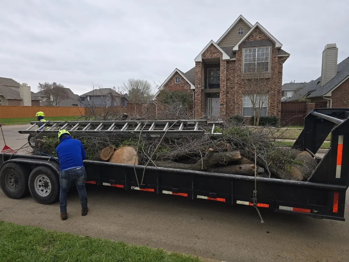 Expert Tree Fertilization with proper safety equipment in Taylor